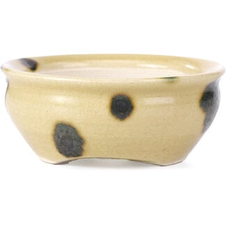 Horie Biko 堀江美功 (Fukushima) 90 mm round beige bonsai pot by Bikou, Japan