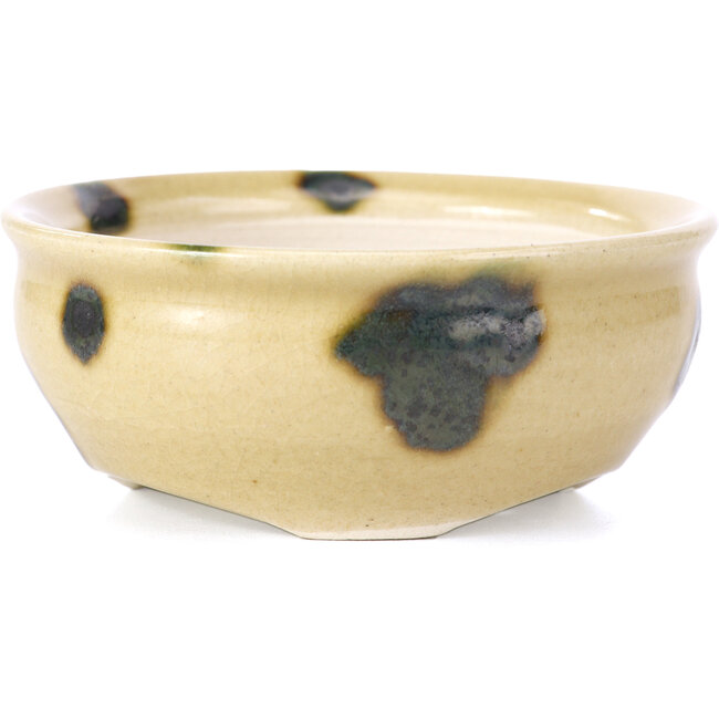 Round beige bonsai pot by Bikou - 90 x 90 x 40 mm