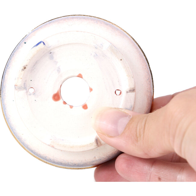 Runde violett-blaue Bonsaischale von Shoseki - 77 x 77 x 25 mm