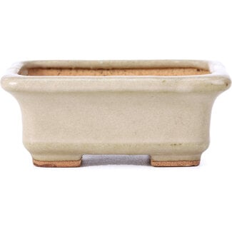  Hattori Tomoyuki 100 mm rectangular beige bonsai pot by Hattori, Tokoname, Japan