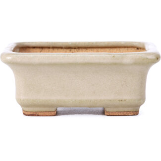  Hattori Tomoyuki Vaso per bonsai rettangolare beige da 100 mm di Hattori, Tokoname, Giappone