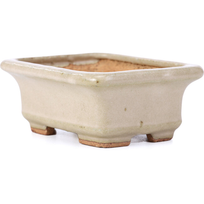 Pot à bonsaï rectangulaire beige par Hattori - 100 x 80 x 40 mm