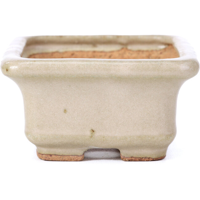 Pot à bonsaï rectangulaire beige par Hattori - 100 x 80 x 40 mm