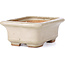 Rectangular beige bonsai pot by Hattori - 100 x 80 x 40 mm