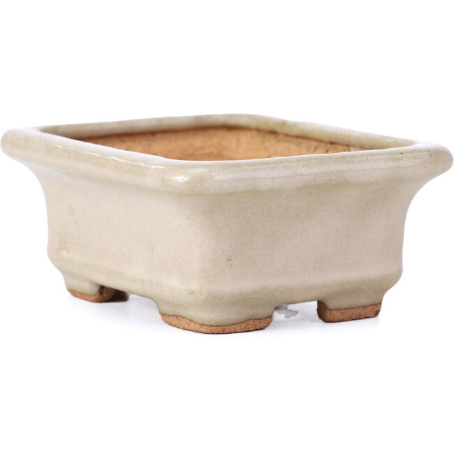 Maceta de bonsái rectangular beige de Hattori - 100 x 80 x 40 mm