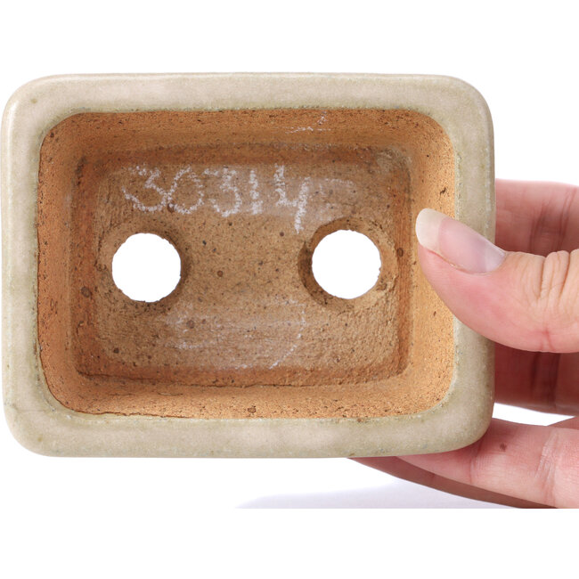 Pot à bonsaï rectangulaire beige par Hattori - 100 x 80 x 40 mm