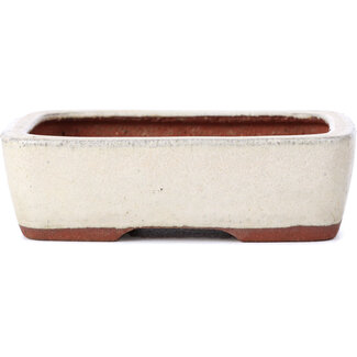  Eimei ( Yozan kiln) Maceta de bonsái beige rectangular de 125 mm de Yozan, Tokoname, Japón