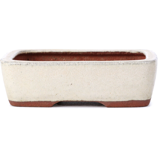 Rectangular beige bonsai pot by Yozan - 125 x 95 x 40 mm