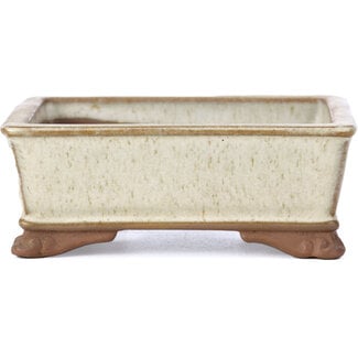  Tosui 100 mm rectangular beige bonsai pot by Tosui, Japan