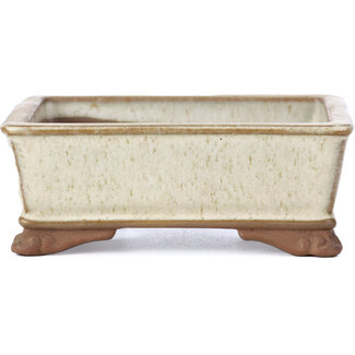  Tosui Maceta de bonsái beige rectangular de 100 mm de Tosui, Japón