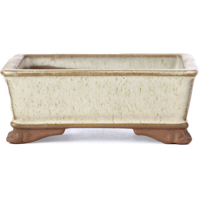 Rectangular beige bonsai pot by Tosui - 100 x 80 x 35 mm