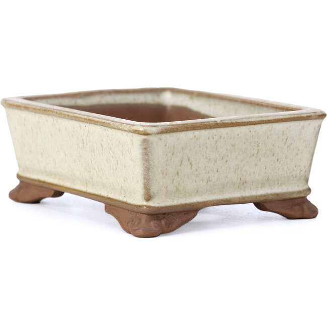 Pot à bonsaï rectangulaire beige par Tosui - 100 x 80 x 35 mm