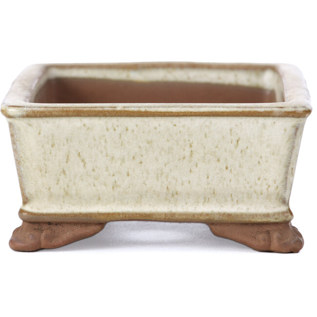 Maceta de bonsái rectangular beige de Tosui - 100 x 80 x 35 mm