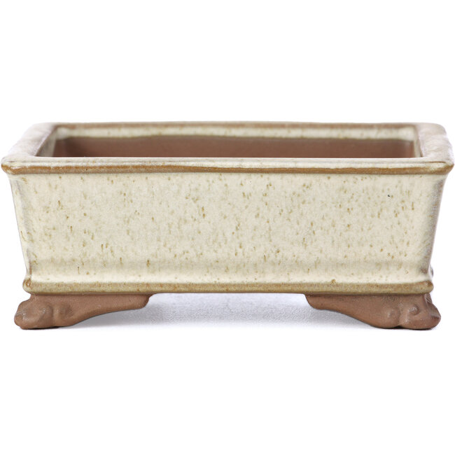 Maceta de bonsái rectangular beige de Tosui - 100 x 80 x 35 mm