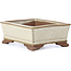 Pot à bonsaï rectangulaire beige par Tosui - 100 x 80 x 35 mm