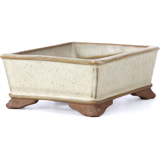 Rectangular beige bonsai pot by Tosui - 100 x 80 x 35 mm