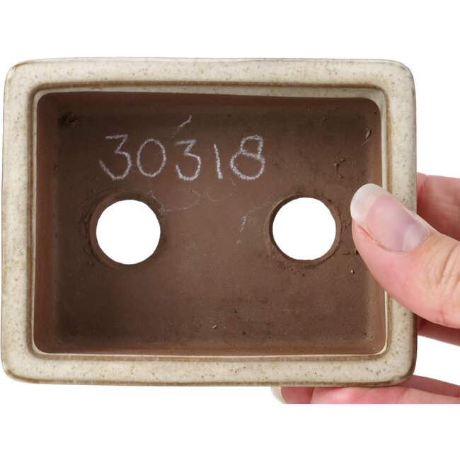 Rectangular beige bonsai pot by Tosui - 100 x 80 x 35 mm