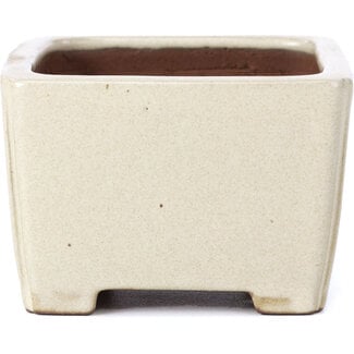  Shibakatsu (Katsuichi Shibata) 95 mm rectangular beige bonsai pot by Shibakatsu, Tokoname, Japan