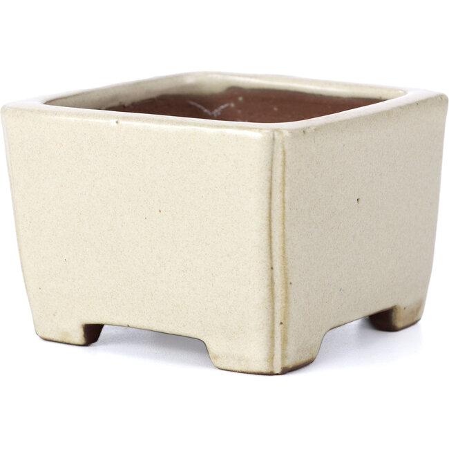 Rectangular beige bonsai pot by Shibakatsu - 95 x 95 x 65 mm