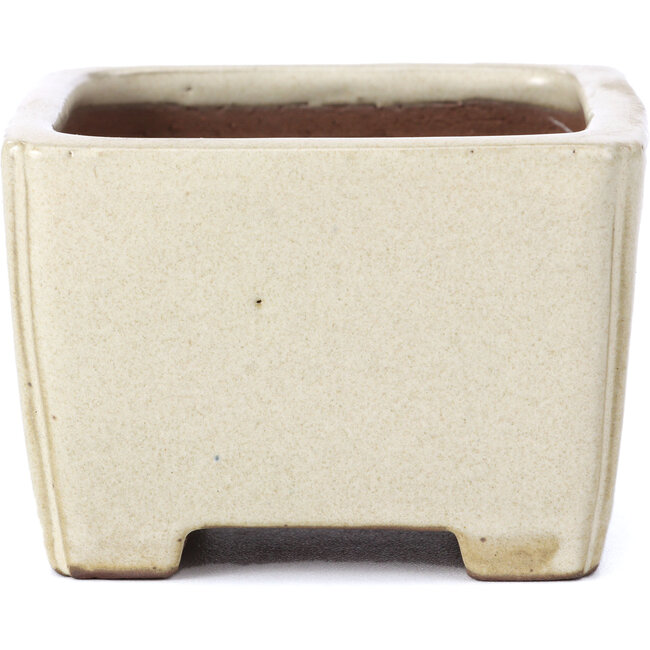 Vaso per bonsai rettangolare beige di Shibakatsu - 95 x 95 x 65 mm
