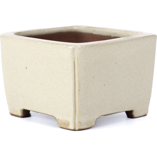 Vaso per bonsai rettangolare beige di Shibakatsu - 95 x 95 x 65 mm