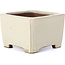 Rechteckige beige Bonsaischale von Shibakatsu - 95 x 95 x 65 mm