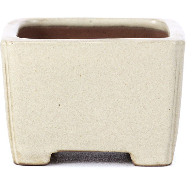 Maceta de bonsái rectangular beige de Shibakatsu - 95 x 95 x 65 mm