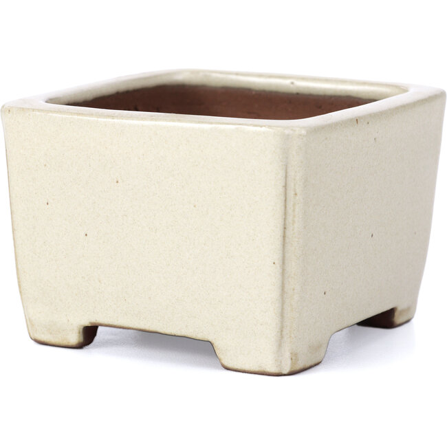 Maceta de bonsái rectangular beige de Shibakatsu - 95 x 95 x 65 mm