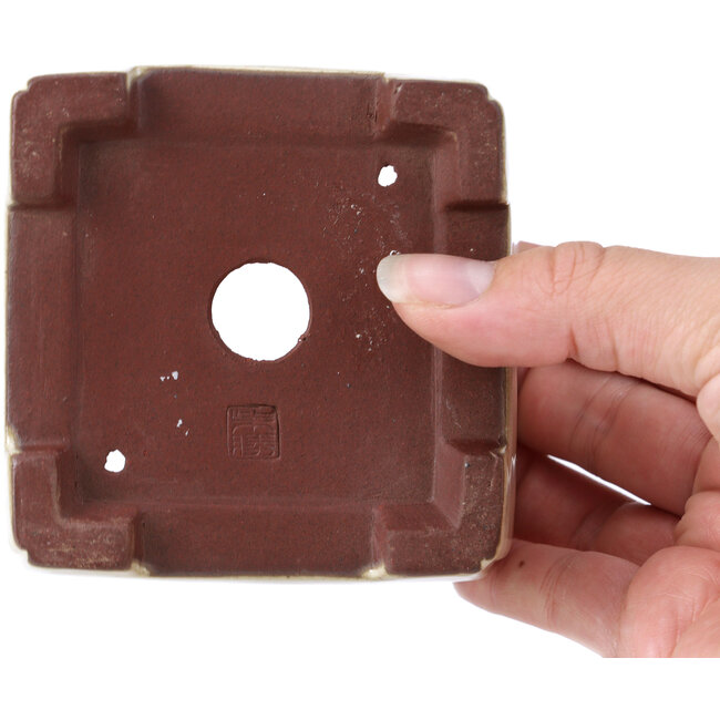 Vaso per bonsai rettangolare beige di Shibakatsu - 95 x 95 x 65 mm