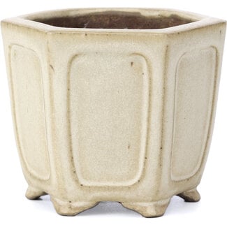  Shibakatsu (Katsuichi Shibata) 90 mm hexagonal beige bonsai pot by Shibakatsu, Tokoname, Japan