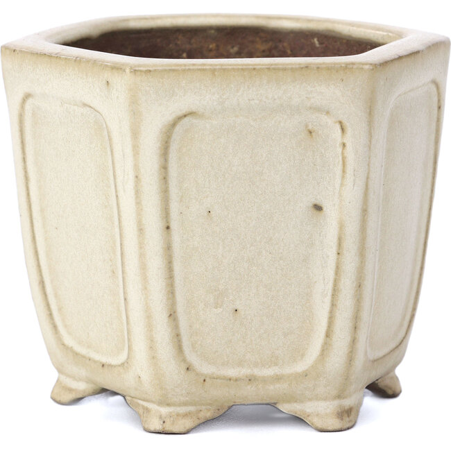 Hexagonal beige bonsai pot by Shibakatsu - 90 x 80 x 70 mm