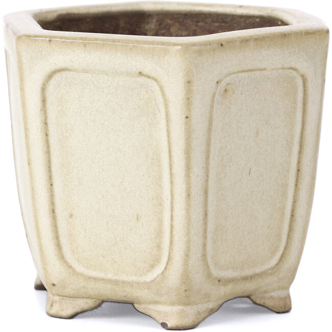 Maceta de bonsái hexagonal beige de Shibakatsu - 90 x 80 x 70 mm