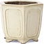 Maceta de bonsái hexagonal beige de Shibakatsu - 90 x 80 x 70 mm