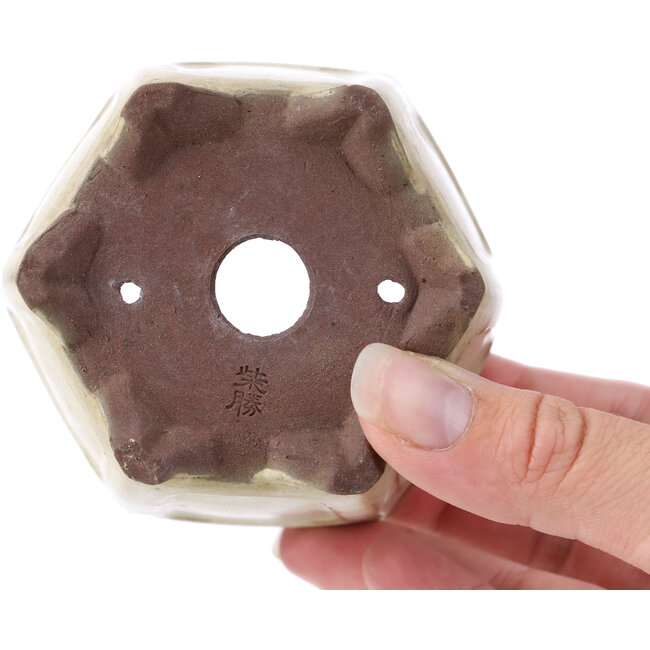 Hexagonal beige bonsai pot by Shibakatsu - 90 x 80 x 70 mm