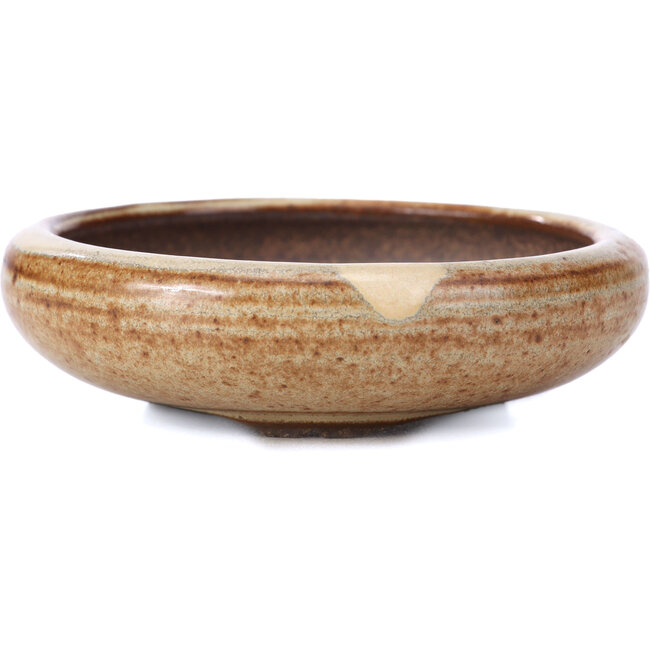 Round beige bonsai pot - 95 x 95 x 30 mm