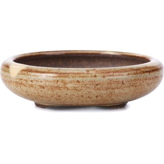  Other Tokoname bonsai pot makers 95 mm round beige pot from Tokoname, Japan