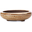 Round beige bonsai pot - 95 x 95 x 30 mm