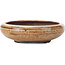 Round beige bonsai pot - 95 x 95 x 30 mm