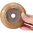 Round beige bonsai pot - 95 x 95 x 30 mm