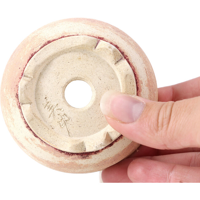 Ronde beige bonsaipot van Bikou - 75 x 75 x 30 mm