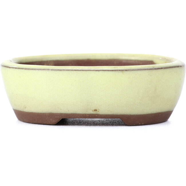 Vaso per bonsai ovale giallo di Seto - 55 x 45 x 17 mm