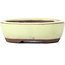 Oval yellow bonsai pot by Seto - 55 x 45 x 17 mm