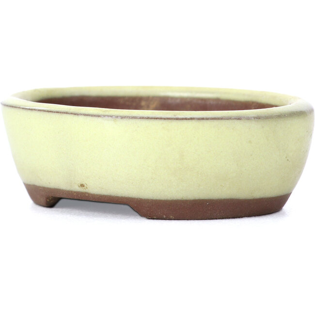 Ovale gelbe Bonsaischale von Seto - 55 x 45 x 17 mm