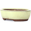 Oval yellow bonsai pot by Seto - 55 x 45 x 17 mm