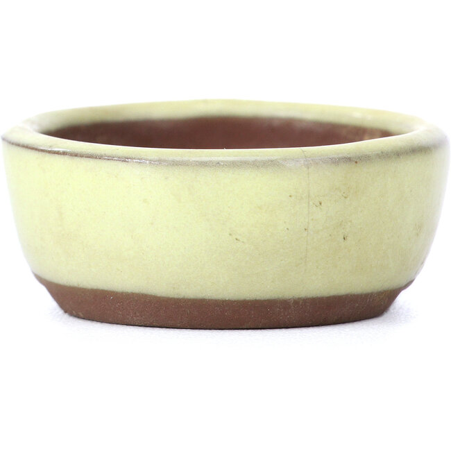 Vaso per bonsai ovale giallo di Seto - 55 x 45 x 17 mm