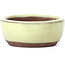 Oval yellow bonsai pot by Seto - 55 x 45 x 17 mm