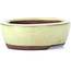 Oval yellow bonsai pot by Seto - 55 x 45 x 17 mm