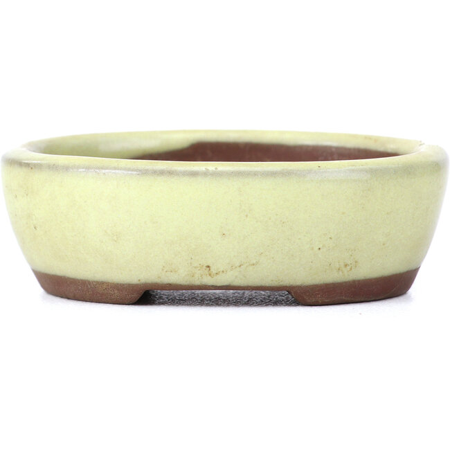 Vaso per bonsai ovale giallo di Seto - 55 x 45 x 17 mm