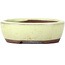 Oval yellow bonsai pot by Seto - 55 x 45 x 17 mm