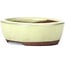 Maceta de bonsái amarilla ovalada de Seto - 55 x 45 x 17 mm